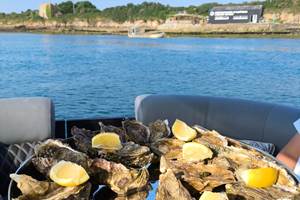 plateau d'huitre-balade-réservation-afterwork-sunset-privatisation-luxe-vacances-bateau-morbihan-ria-etel