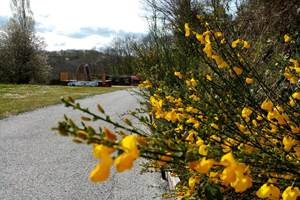camping-la-perle-creuse-fleuri