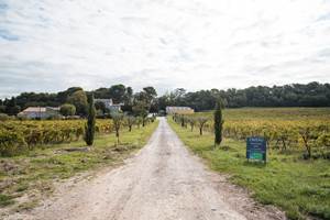 Chemin du chateau