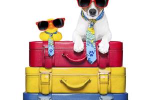 istock_000042417604_large