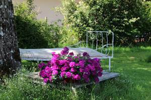 gite-jardin-famille-saint-jean-davelanne