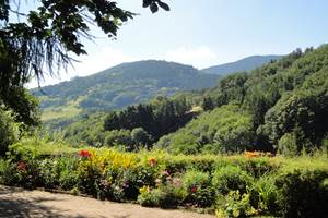 vue sur les Vosges
