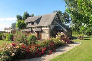 Jardin rosiers - Gîte du Petit Coq - aux3nidsfleuris