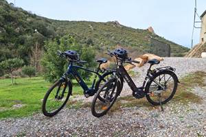 Velos assistance electrique