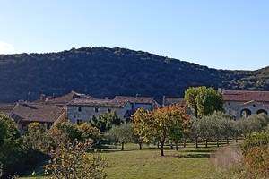 IMG_20251023_162837