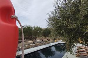 piscine 1