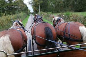 clos-de-l-isop_restaurant_roulotte-a-manger_caleches-de-l-isop_chevaux_vue_meneur