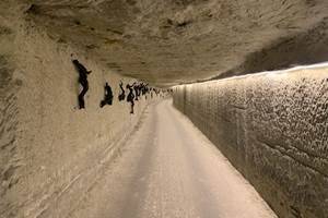 Galerie_ceps