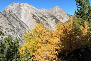 automne
