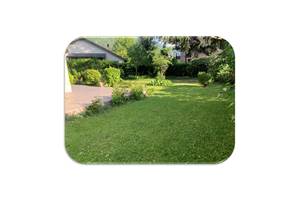 Jardin3 fond blanc