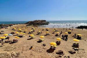 WhatsApp Image 2025-09-10 at 17.32.21