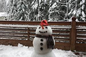 notre bonhomme de neige