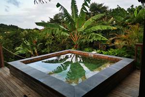 gite-horizon-balisiers-vue-piscine-jardin-tropical