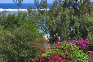 Vue de la terrasse sur la plage et sur le jardin