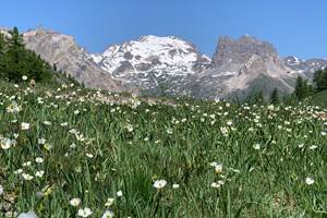 Vue sur le Mont Thabor.
