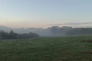 Brume matinale