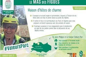 affiche-parc-alpilles