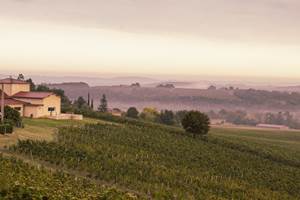 IMG_2345 (1)
