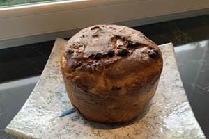 panettone levain maison