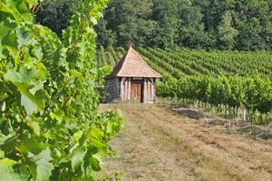 Vignoble-Bergeracois-Le Fleix-Dordogne