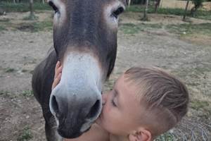calin avec Dinky
