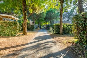 2024.09.16 Les Fouge`res - Shooting Hebergement - Camping - WEB-