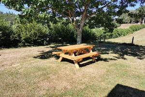 Sorbus - table au jardin
