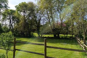 Camping à l'ombre des grands arbres