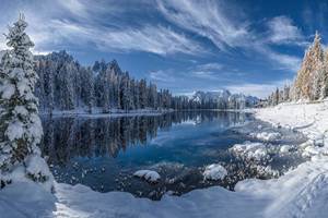 Lac des vosges sous la neige