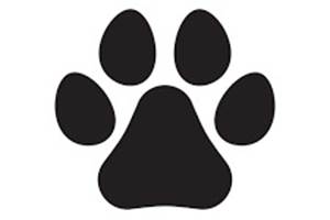 image-chien