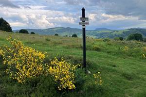 Gite-de-groupe-alsace-vosges-chalet-col-de-la-perheux
