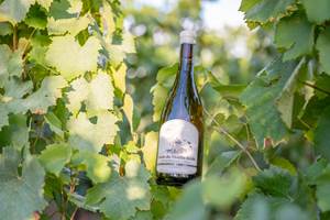 Packshot-Bouteilles-5