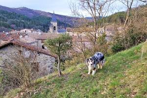 Le jardin, les chiens sont bienvenus