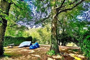 Sous de grands arbre et séparés par des haies