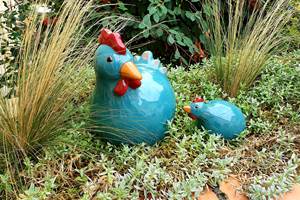 les poulettes