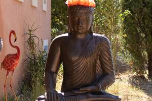 Autre Vue Jardin Casa Ammirati Flayosc