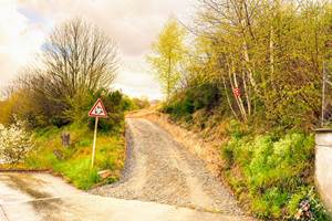 Pipistrelles19-chambredhotes-gite-meymac-lacsechemaille