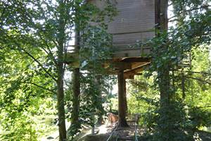 Cabane dans les arbres sur l'île accessible par une passerelle
