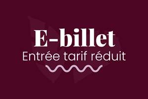 VISUEL_2024_E-BILLET_ENT_TARIF-RED