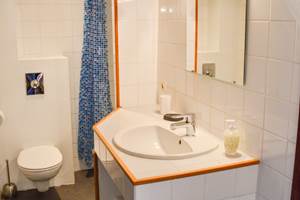 Basilic salle de bain