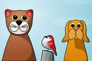 Chats et chiens ©the_iop