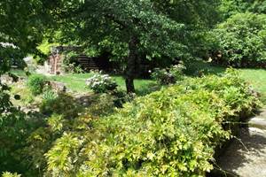 Gîte n°19G2062 "Hautefort" – COLLONGES LA ROUGE