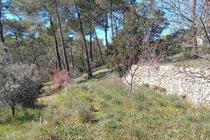 Une des Vues des 4 000 M2 de restanques et vegetation