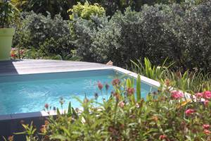 Iguane House villas & Micro Spa piscine Villa Lagon