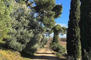 gîte à la campagne