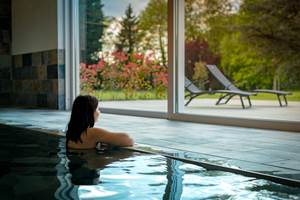 gites-luxe-alsace-nord-karlsmuhle-espace-bien-etre-piscine-sauna-spa-21