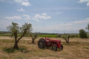 Vue panoramique sur le domaine viticole entouré de vignes à Puimisson, dans l’Hérault