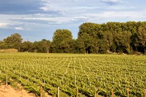 séjour avec vue sur les vignes