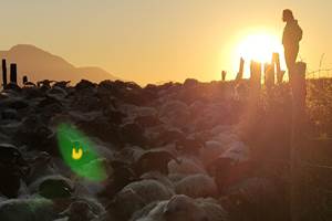 Gîte Ainerak, Pays Basque, Pyrénées, Soule, Kakouetta, La Verna, Sainte Engrâce, la Pierre St Martin