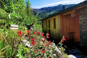 Le chalet entouré de fleurs